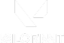 VALORANT Logo